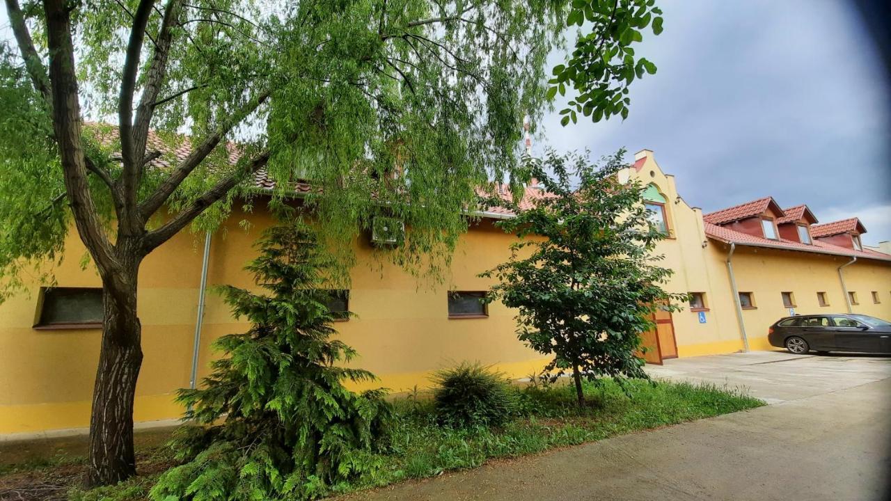 Torony Lovarda Maganszallas Gazde/Camere de închiriat Kiskunfélegyháza